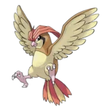Pidgeotto