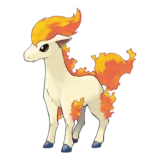 Ponyta