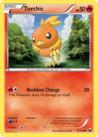 Torchic bw5-14