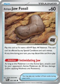 Antique Jaw Fossil me3-68