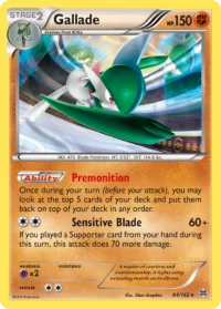 Gallade xy8-84